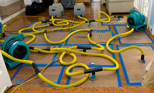 Professional Burst Pipe Water Damage technician working in Puryear, TN